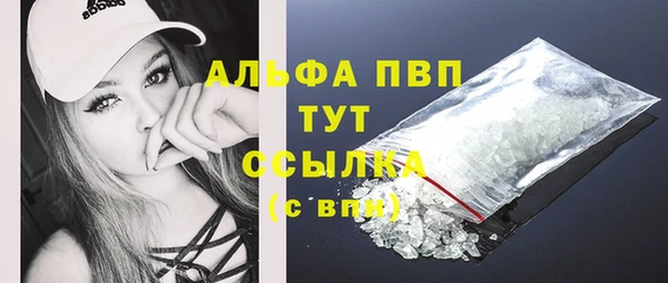винт Мегион