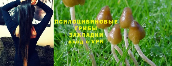 хмурый Медногорск