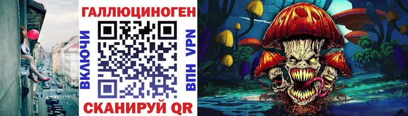 гидра tor  Лобня  Галлюциногенные грибы мицелий 