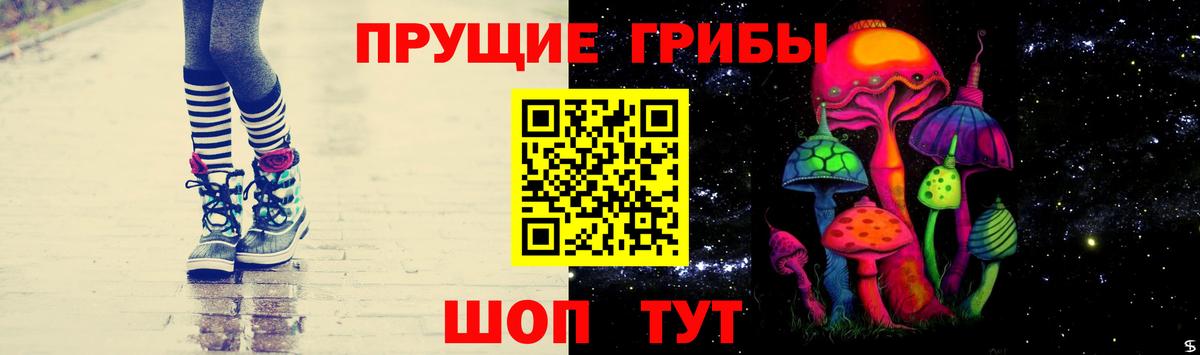 Галлюциногенные грибы Psilocybine cubensis Лобня