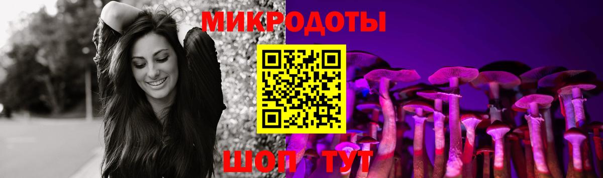 Псилоцибиновые грибы Cubensis  Вход с VPN  Лобня 