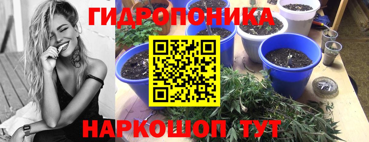 Бошки марихуана Ganja  Шишки марихуана SATIVA & INDICA  Вход с VPN  Лобня  МАРИХУАНА OG Kush 